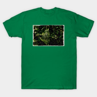 Mirror image pond T-Shirt